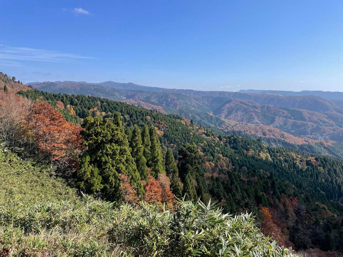 高清水トレイル登山口-大畝山-御林山-池川山 往復コースの写真