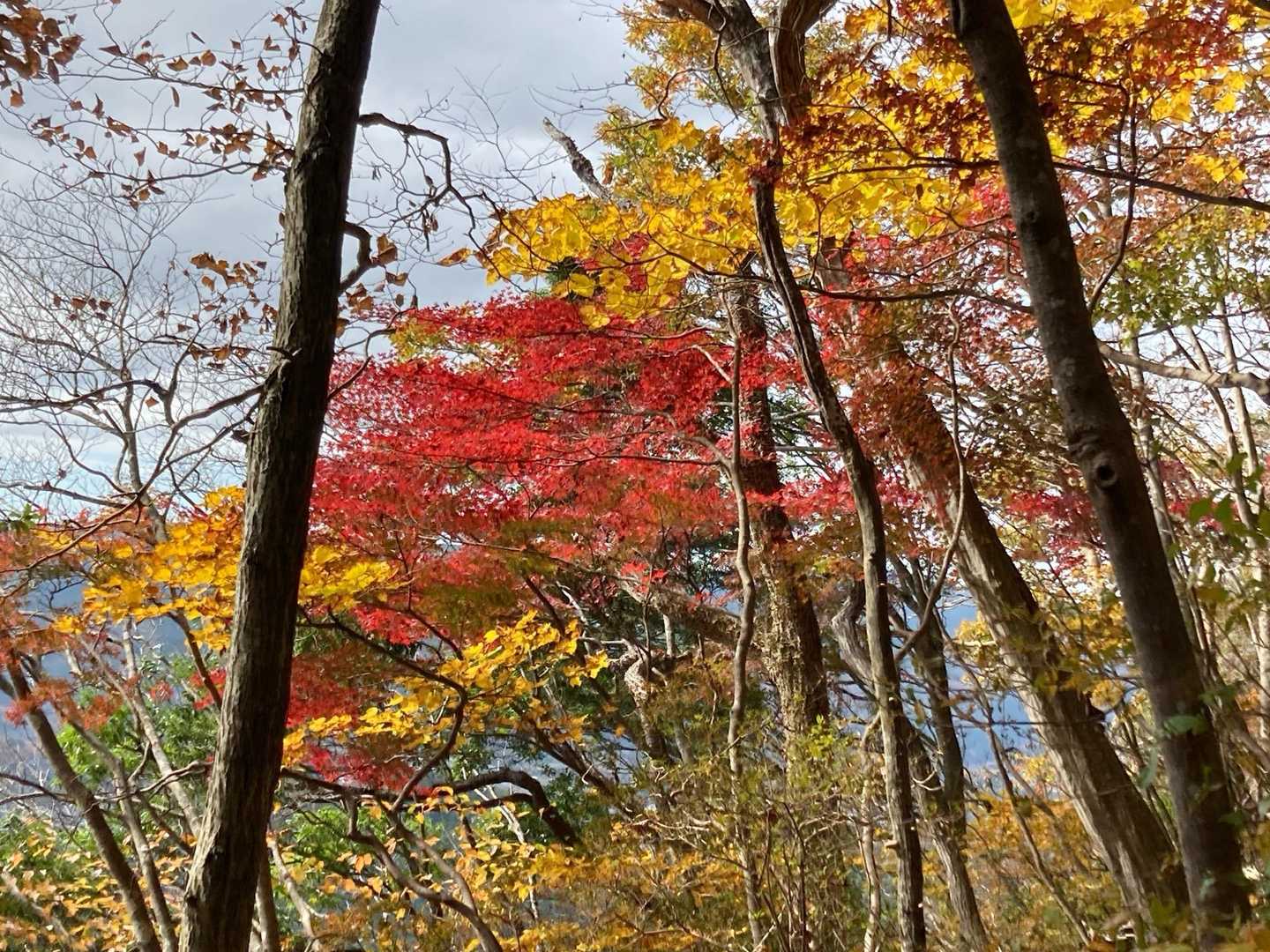 立神山-生瀬滝上-男体山・月居山登山口 縦走コースの写真