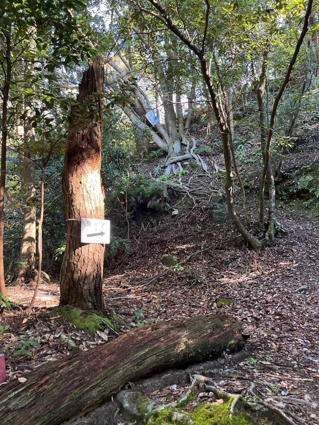 登山口↑