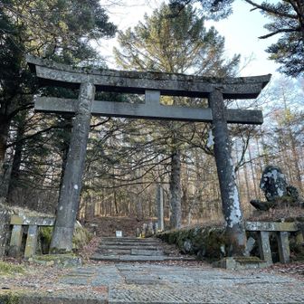 今度は両脇の猿を入れて撮る🐒