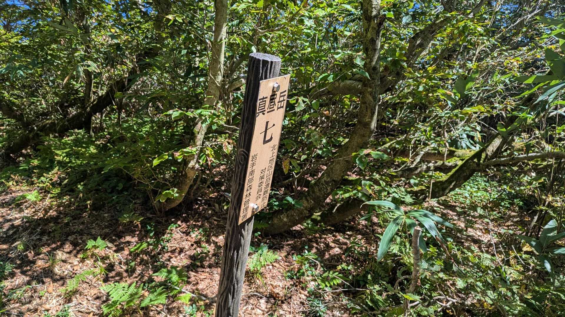 七合目まで平坦な道、ここから９合目まで地獄の急登💦