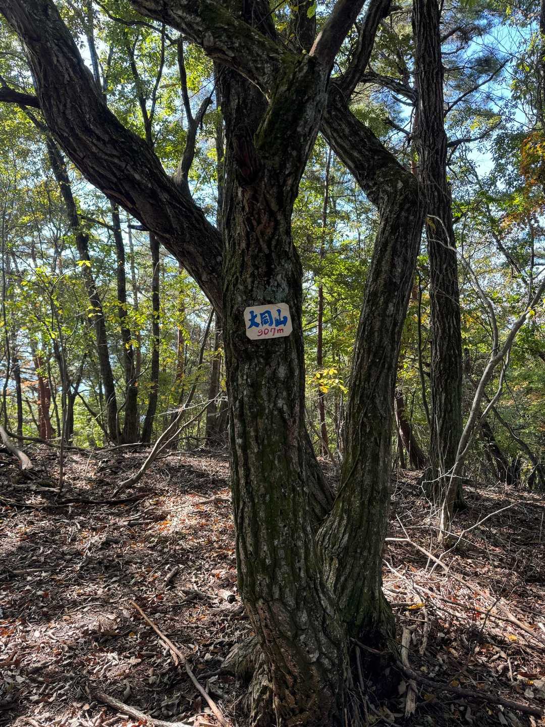 百蔵山-百蔵山登山口 周回コースの写真