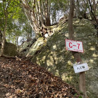 Cコース　八丁坂