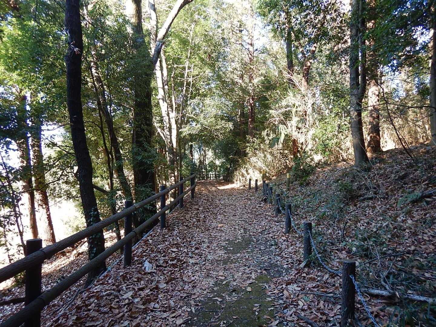 諏訪ヶ岳-古道五差路 縦走コースの写真