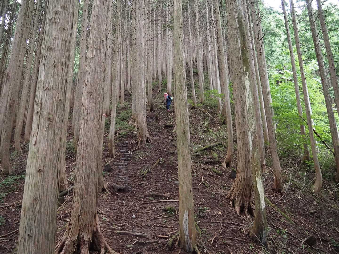 同じく延々と・・・😅💦