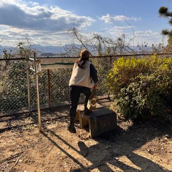 石の台に上って。