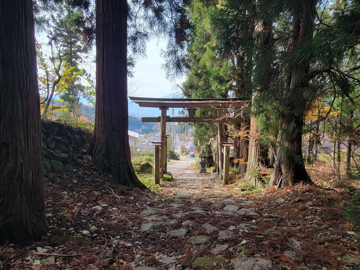無事に⛩️
里山を楽しめた日