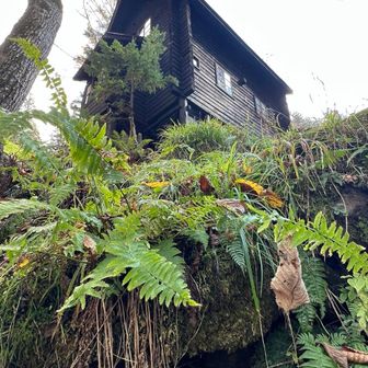 冷水小屋。小屋が出てきそうな雰囲気の先にちゃんとある。泊まってみたい。