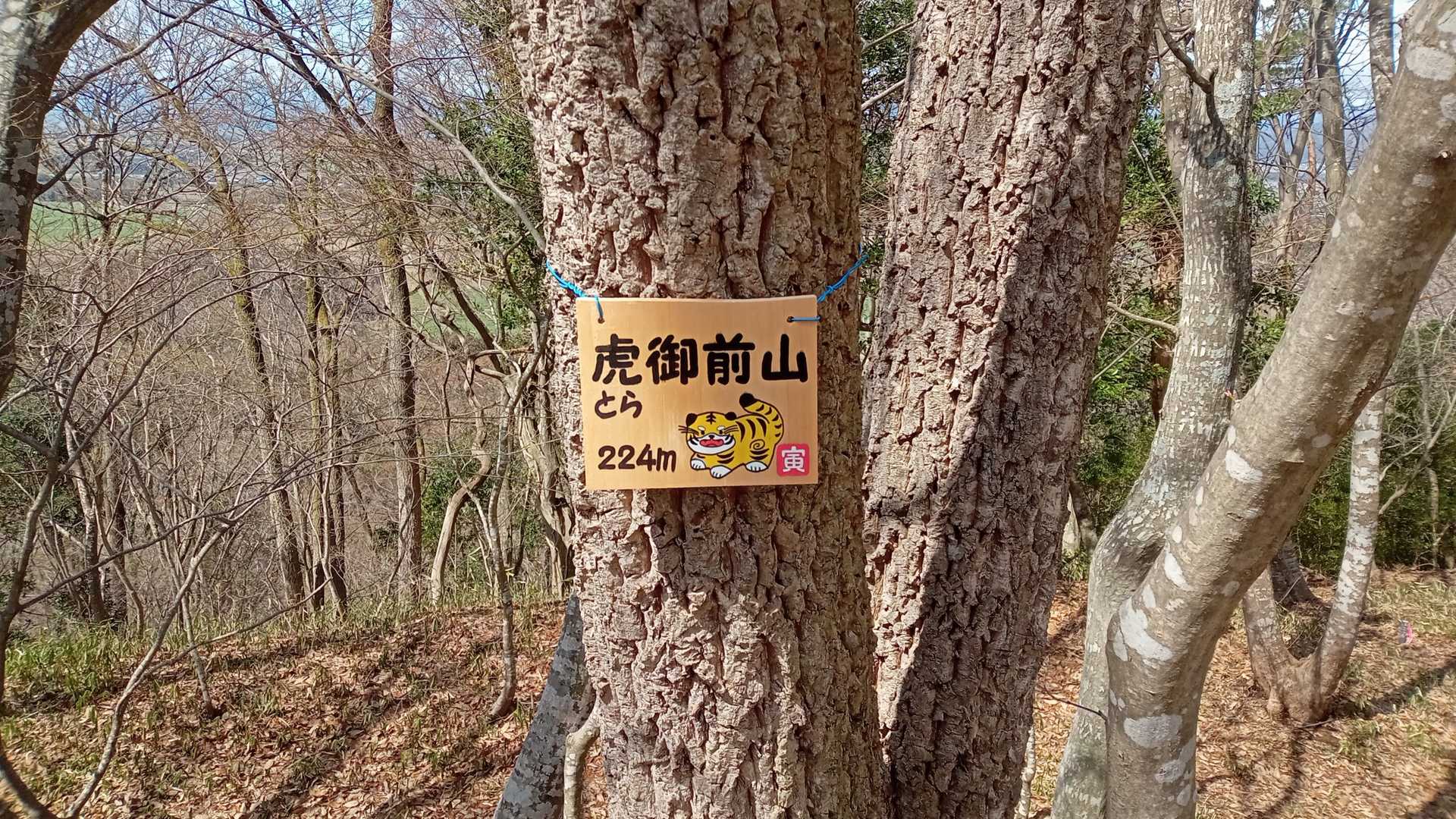 寅年に虎の山登っときました