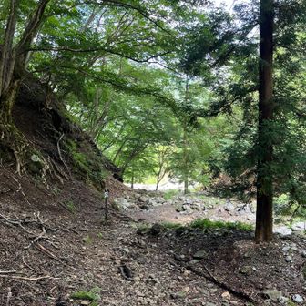 コグルミ谷登山口に戻ってきた