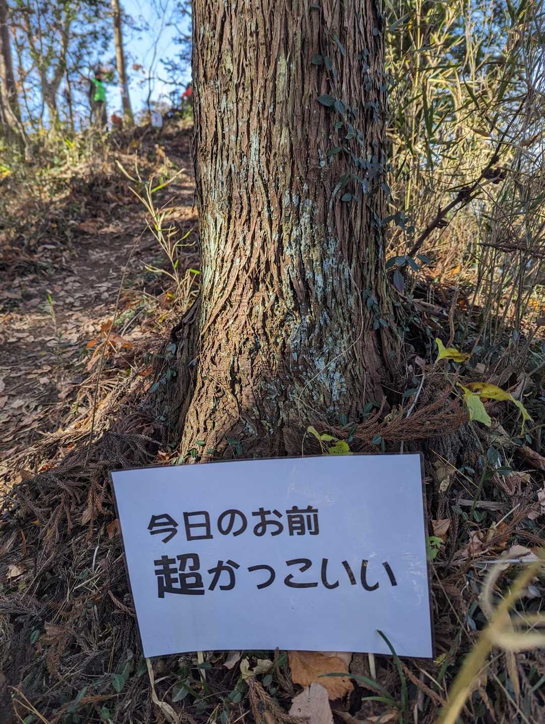 あざ〜す👍✨