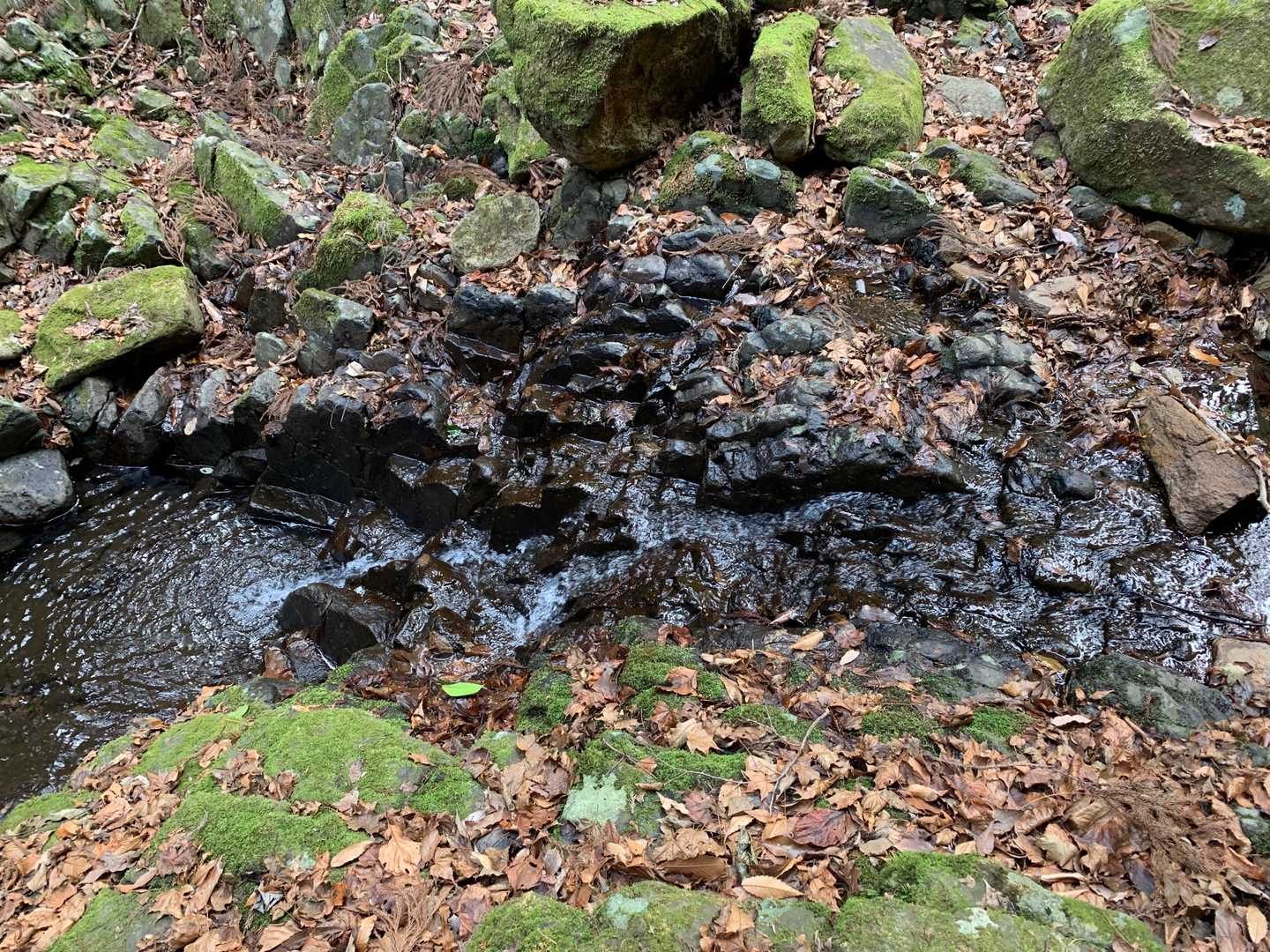 四辻峠-雨乞岳-烏帽子岳-鎧ヶ岳-日平山 周回コースの写真