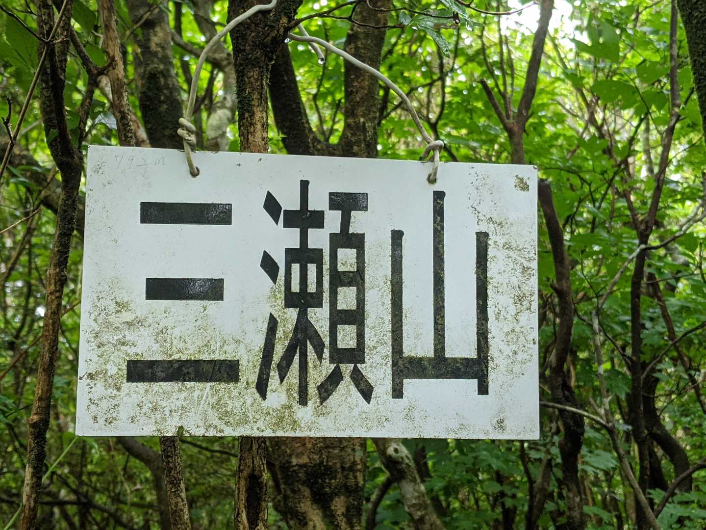 三瀬山山頂⛰。
眺望はありませんでした。