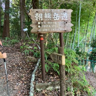登りまーす
