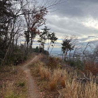 大澄山山頂からあきる野市方向。