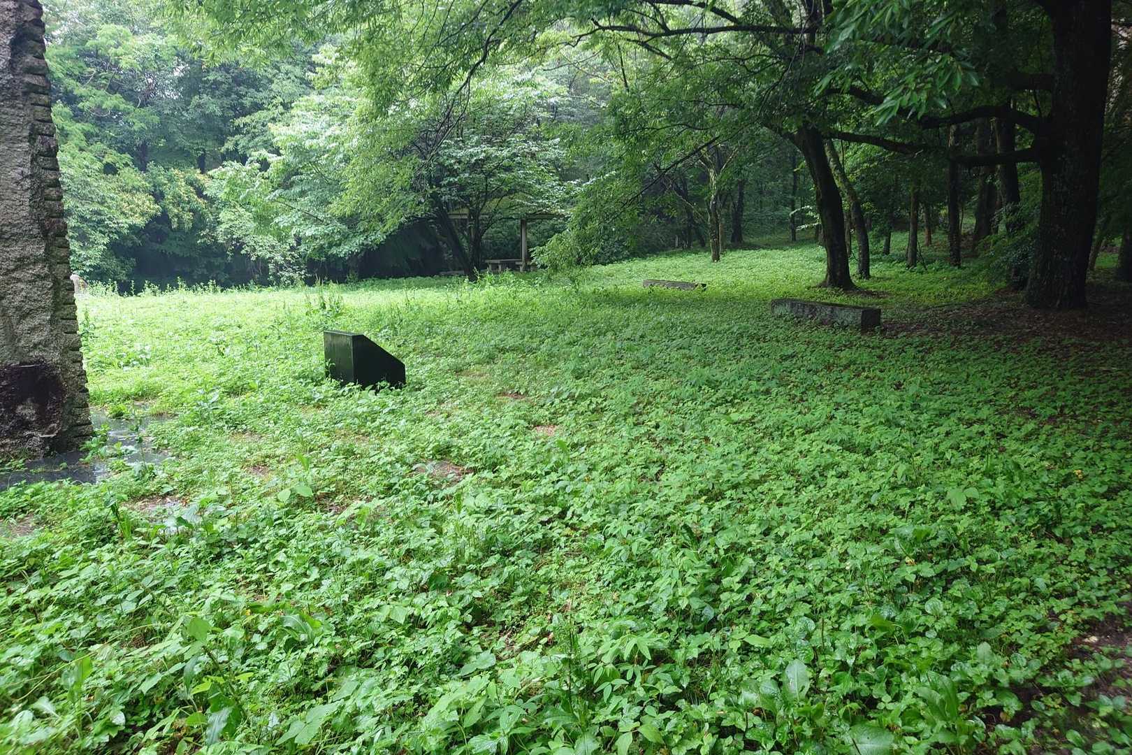 雨壺山 往復コースの写真