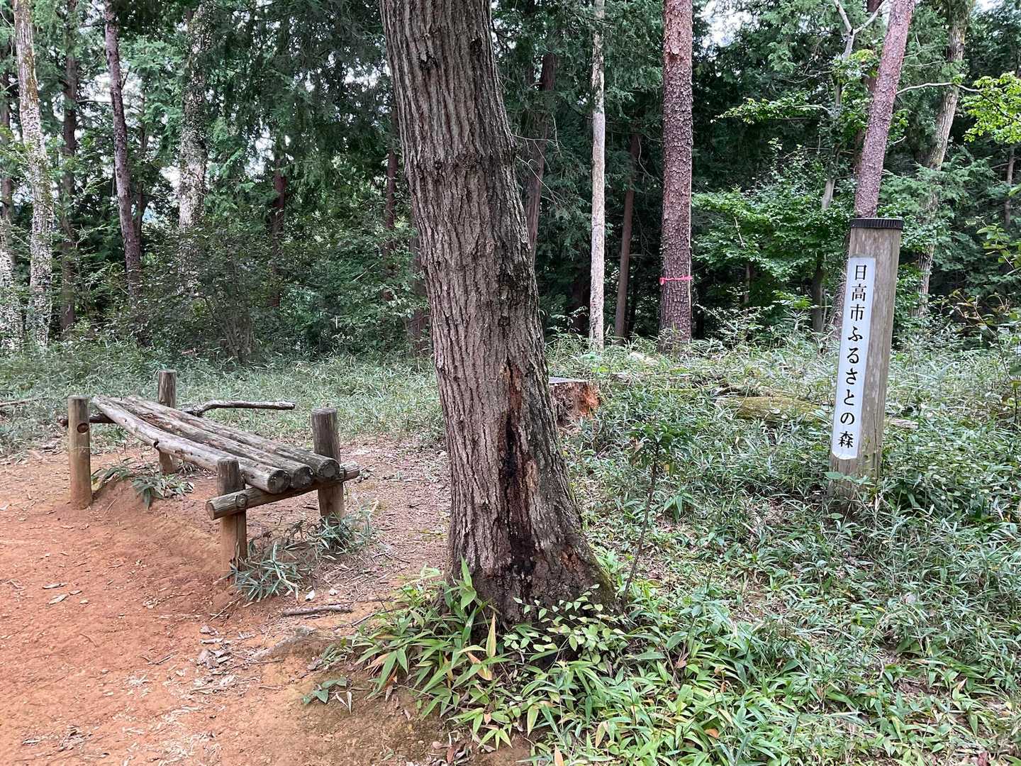 下山は女坂で途中の分岐からここに出て来ました
ここから写真、無いですが
笹藪の登山道で、ひと1人歩ける幅しかありません
途中3人組のグループとスレ違いました
逃げ道ないので藪の中へ😆

最初のトイレ・自販機の奥に出て下山終了👍

ありがとう御座いました😊👋