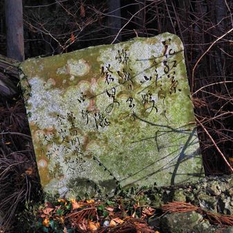 花紅葉よこたてにして山姫の錦織り出す袋田の瀧　西行