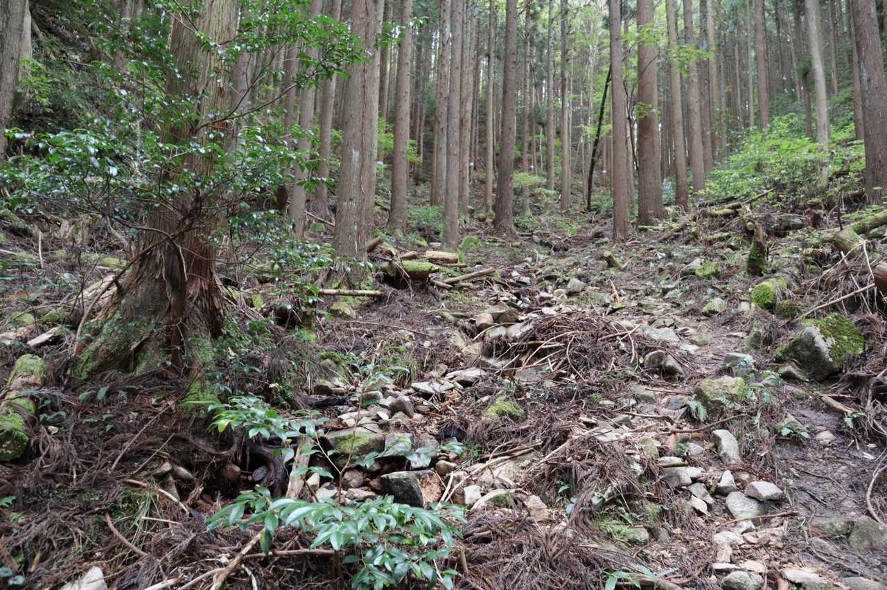荒れている道もあります。