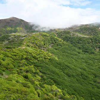 下山アルアル