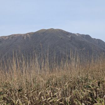 歩いてきて振り返り