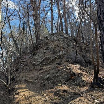 こちらも岩っぽい。