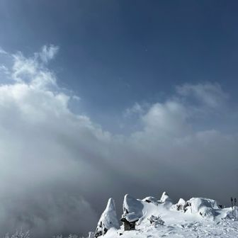 てんくら Cをひっくり返す青空🟦