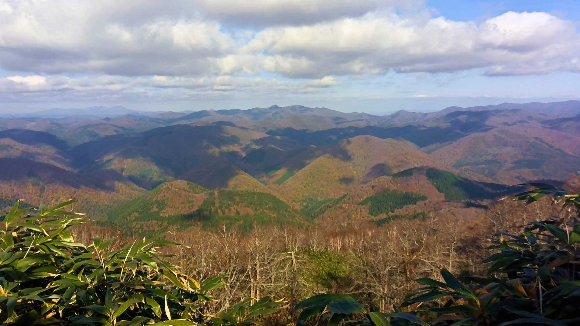 花輪越-三倉山-皮投岳 往復コースの写真