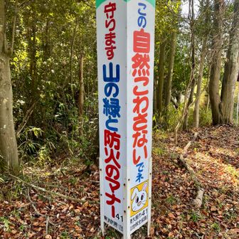 はい🙂‍↕️守ります🙂‍↕️‼️