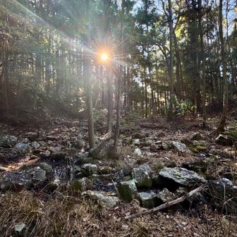 そして、その前はヌタバになってる🤣