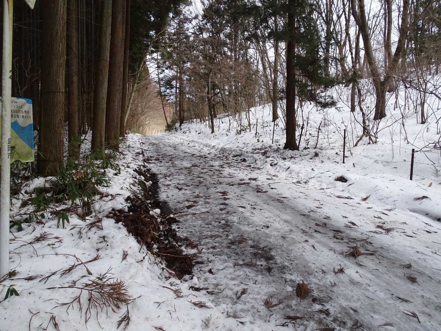 登山口前道路