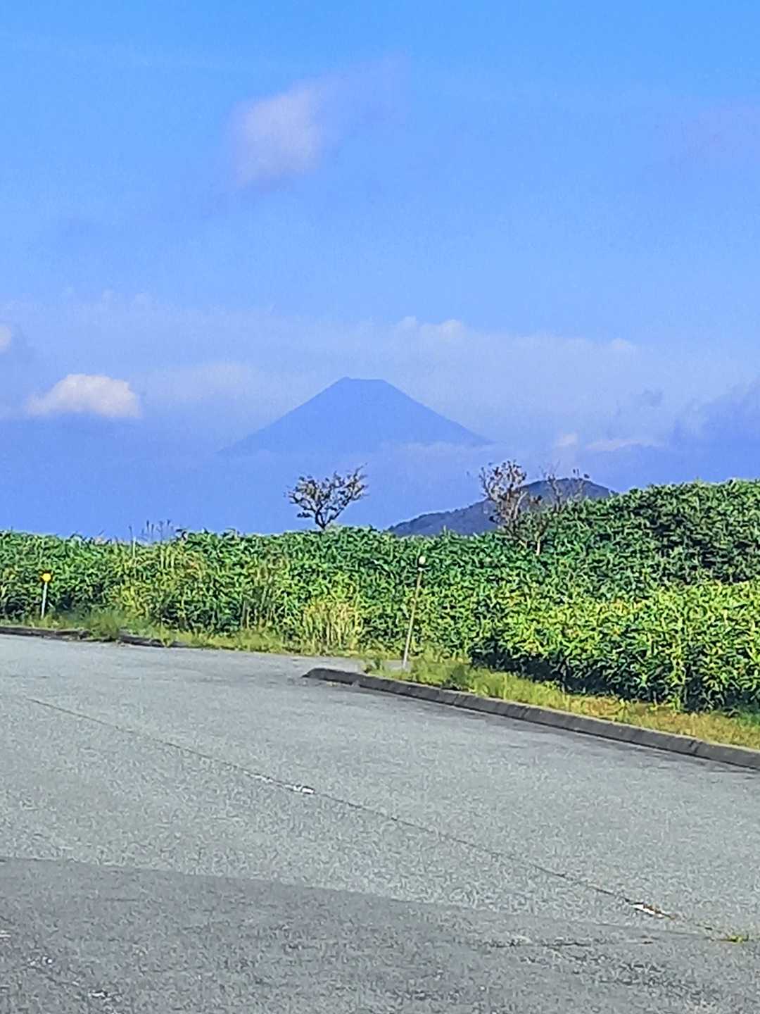 富士山が、ちょっとガスってます