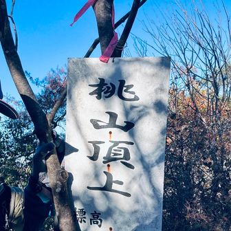 怪しい人はもういいよね🤣