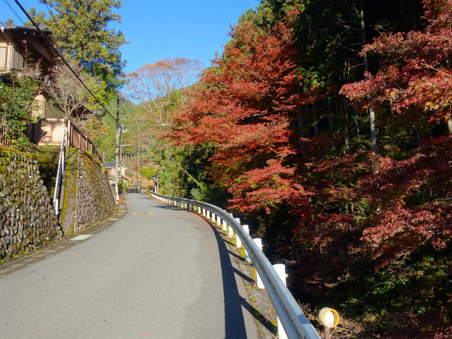 軍畑駅-常福院-高水山-岩茸石山-惣岳山-沢井駅 縦走コースの写真