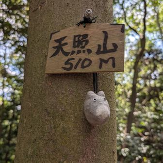 歩いてる時にヤマップ地図で見つけた未踏の天照山