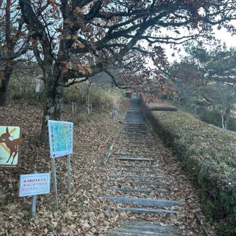 落ち葉🍂がいっぱい