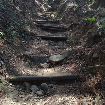 専用山 高取山 / zep8617の登山データ | YAMAP / ヤマップ