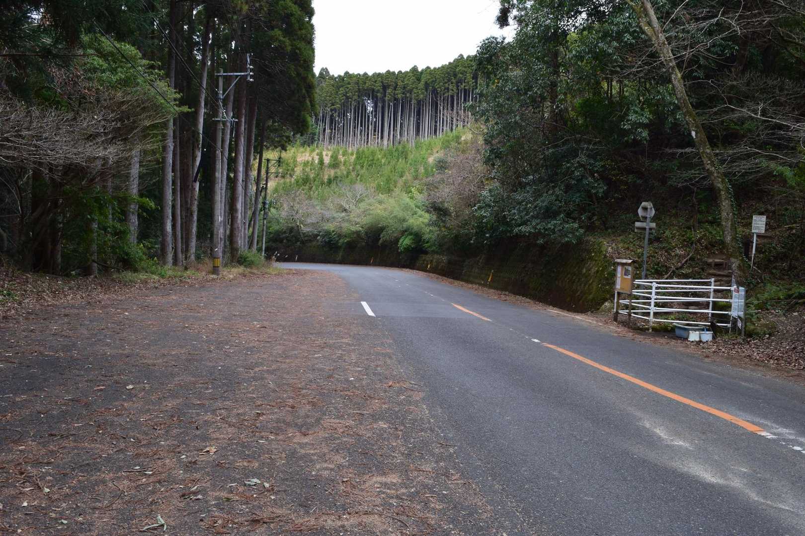 誰もいません 大晦日だもんね😸
