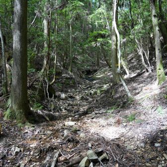 まだまだ登って