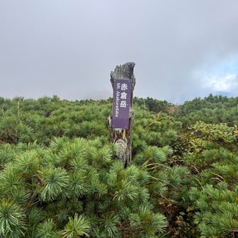 赤倉岳 頂上看板🪧