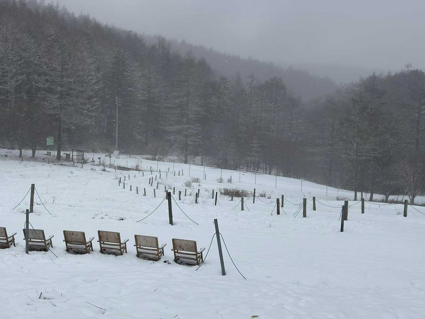 雪がだいぶ小降りになってきました