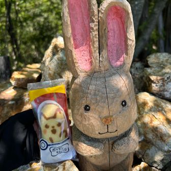 相方様に頂いた、ピカチュウ⚡️の東京ばな奈🍌
可愛くて食べれな〜い🥹なので顔面から頂きます🤭

ごちそうさまでした🙏