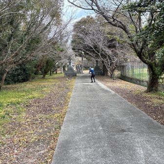 ネコの式神を操る術師KK