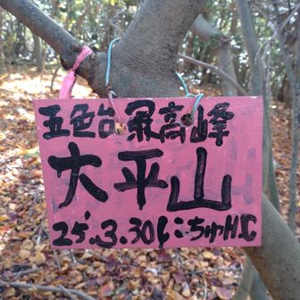 だそうです。
三角点のない猪尻山山頂の方が標高が高い