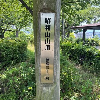 登頂⛰️ ここまで17kmちょい走りきった✌️