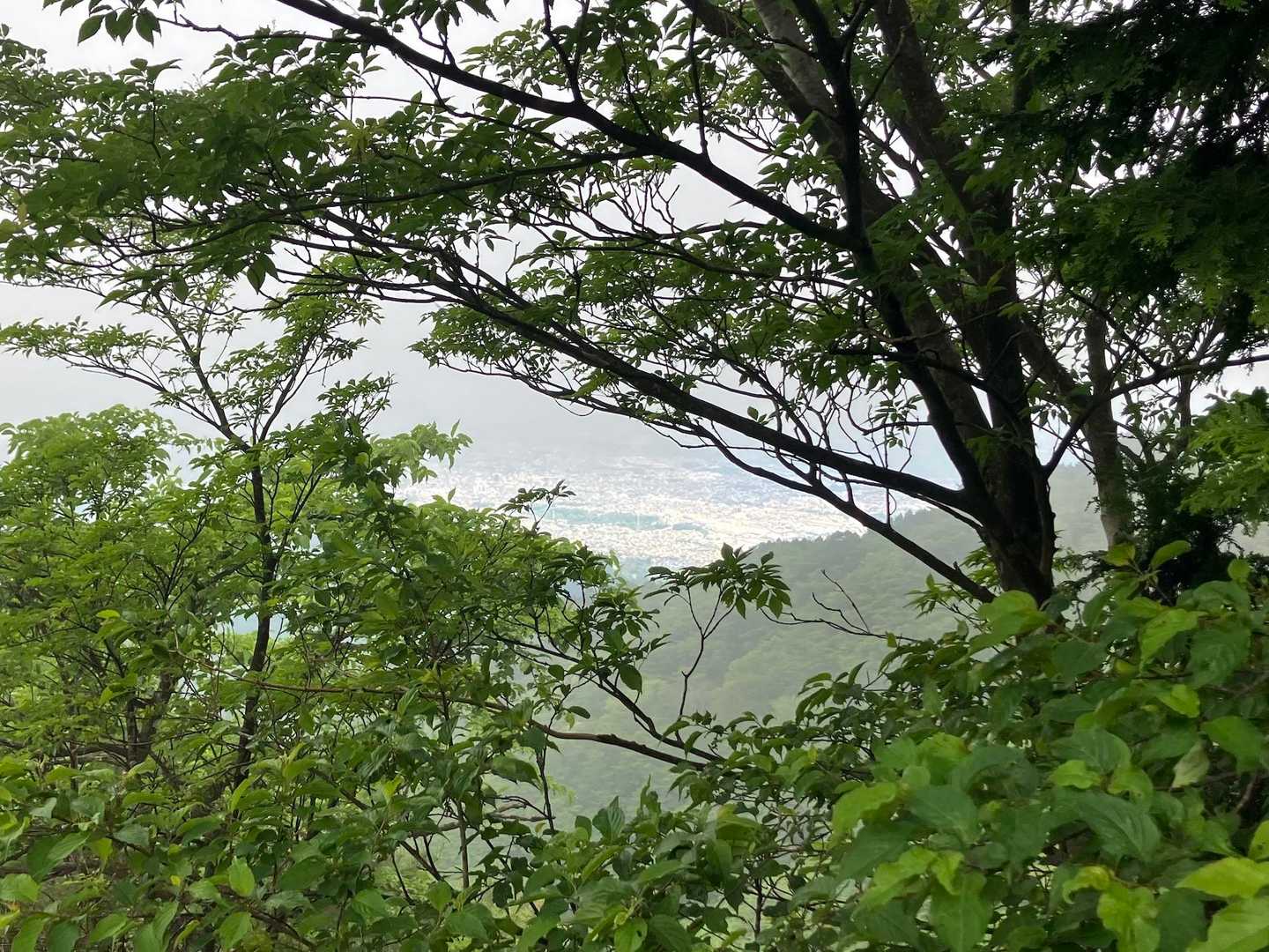 霧が晴れ、下界が見えました👀‼️