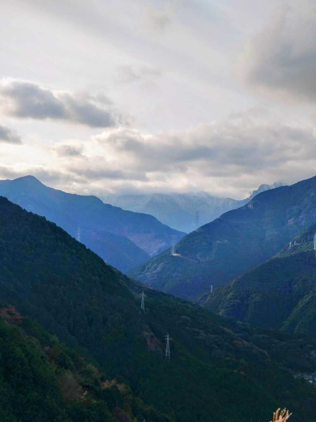 笹ヶ峰の山頂、真っ白です