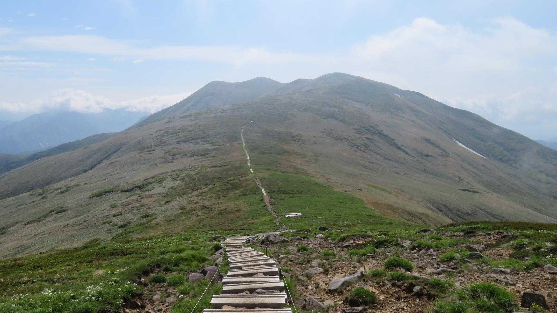 お花畑を楽しんだ後は、目指す仙ノ倉山へ❕左から二つ目のピークが山頂でーす❕