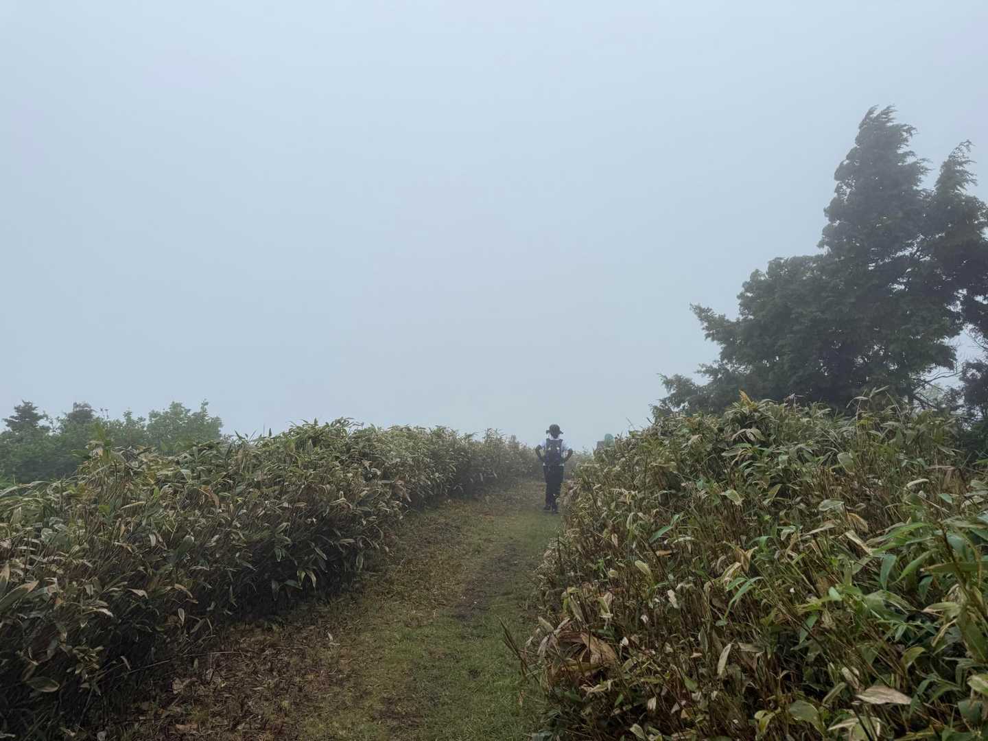 残念、何も見えない