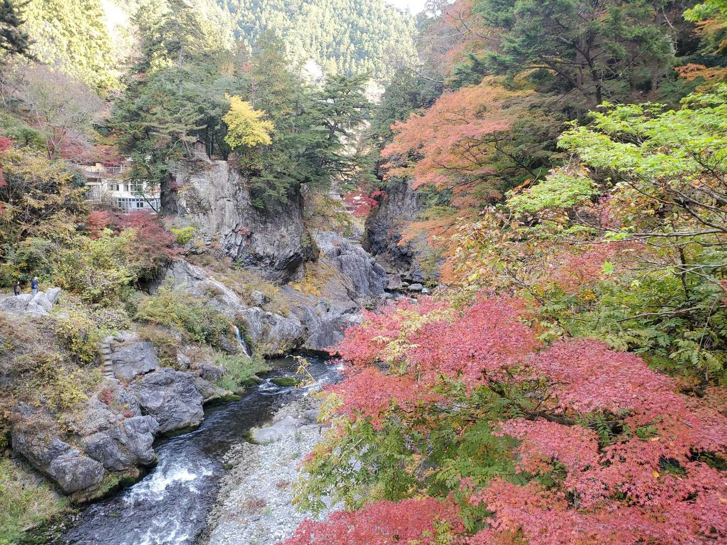【フラット登山】大多摩ウォーキングトレイル　渓谷美と焚き火を楽しむの写真